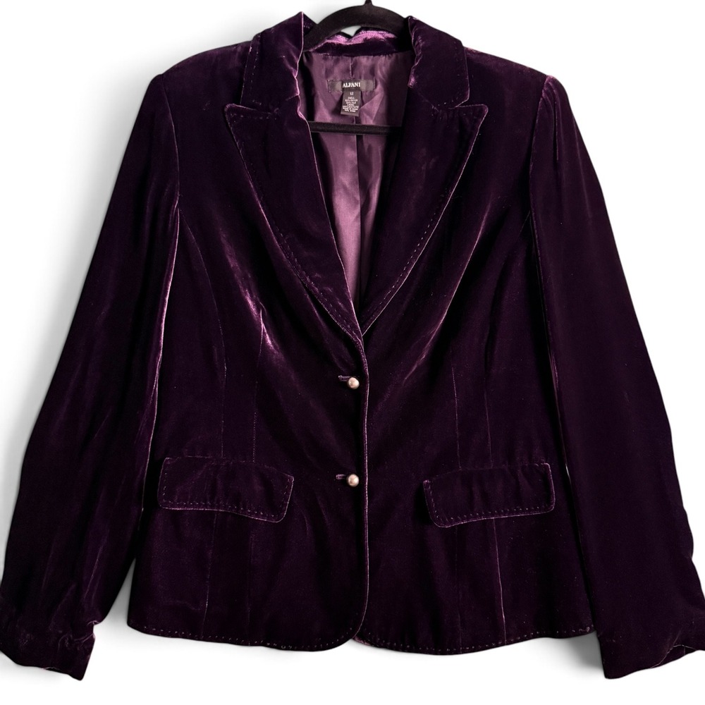 Y2K Silk Blend Velvet Blazer Plum Romantic Boho Luxury Goth Two Button Size 12 - Picture 2 of 8